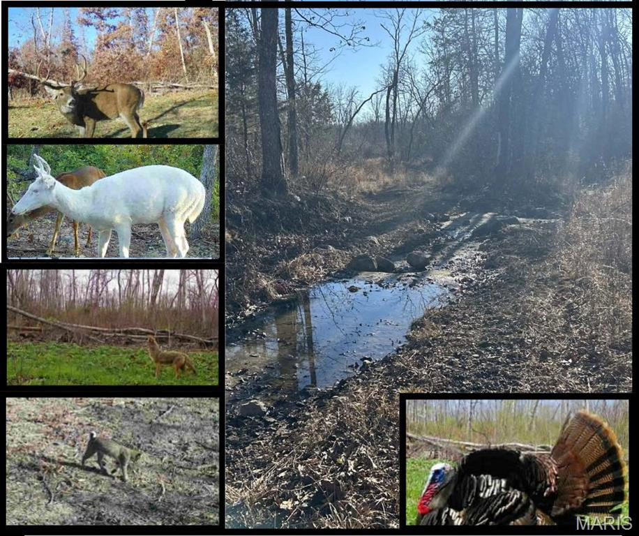 property 0 Kitchen Road