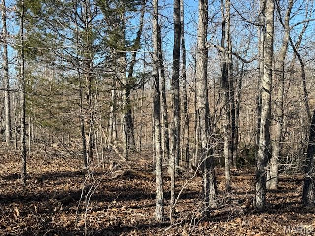 property TBD County Road 4110