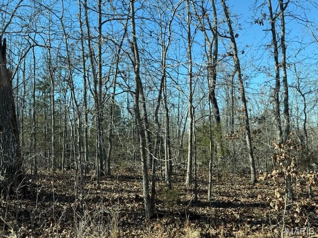 apartment for rent 1