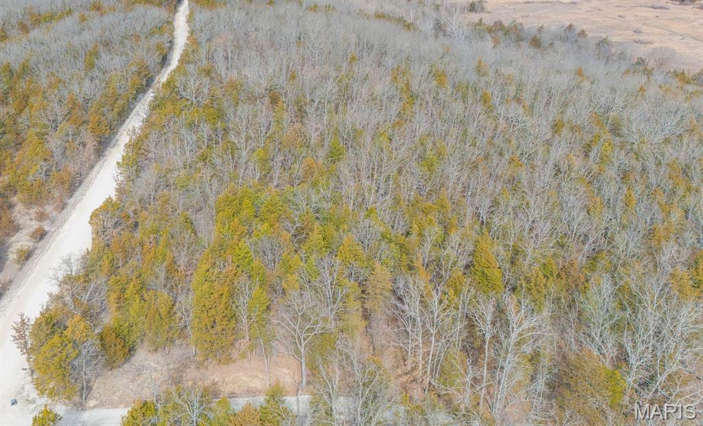 apartment for rent 1