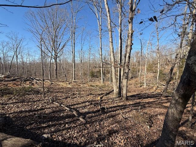 apartment for rent 1