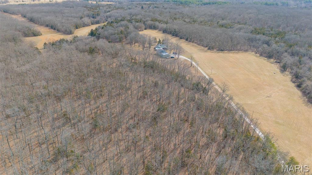 apartment for rent 1