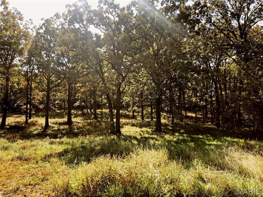 property 10240 County Road 3060