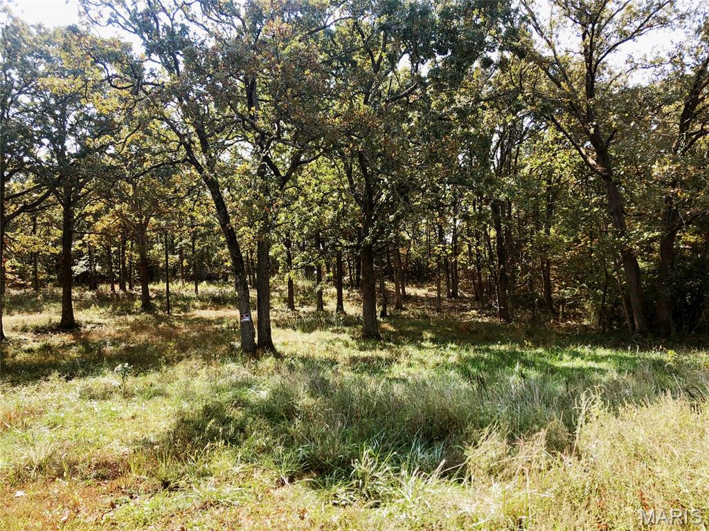 apartment for rent 1