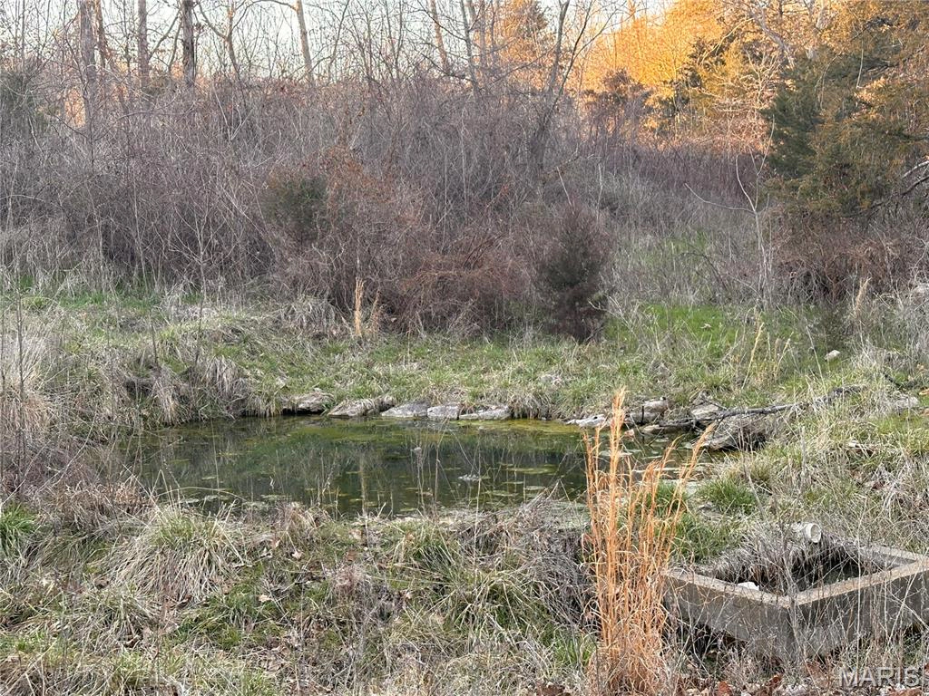 apartment for rent 1