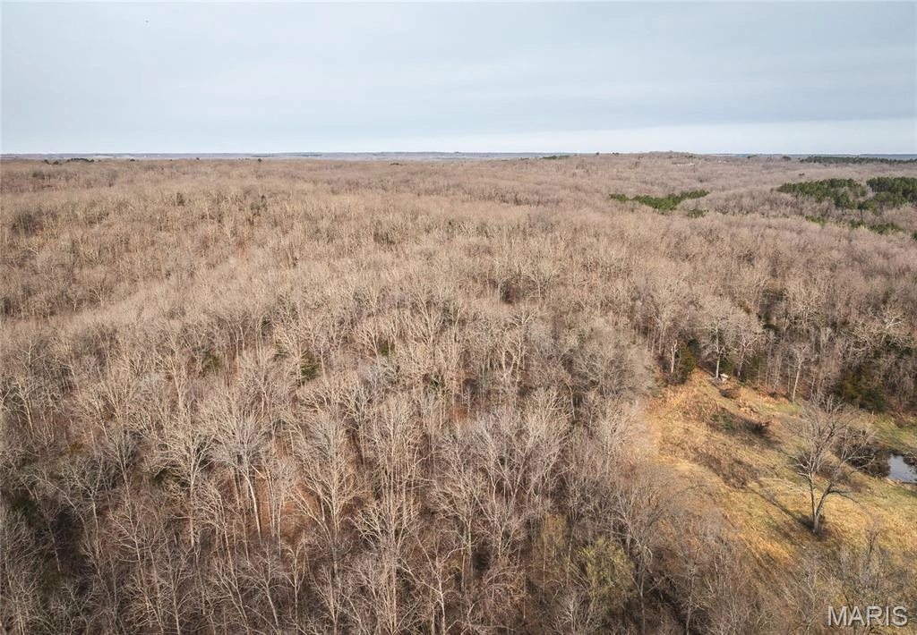 apartment for rent 1