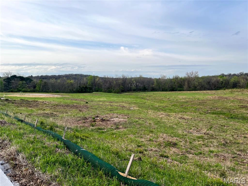 apartment for rent 1