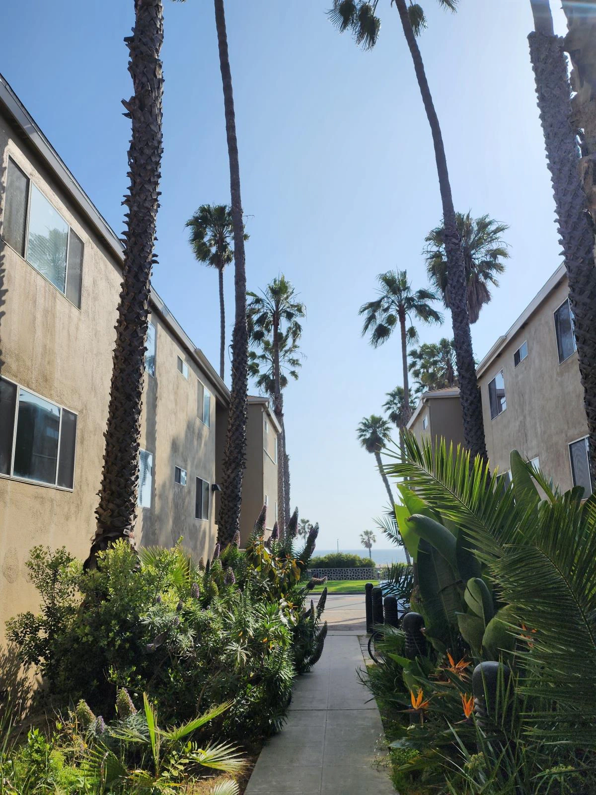 property for rent #2