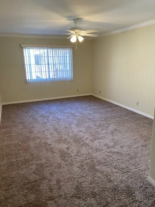property for rent #7