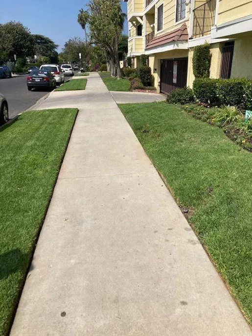 property for rent #2