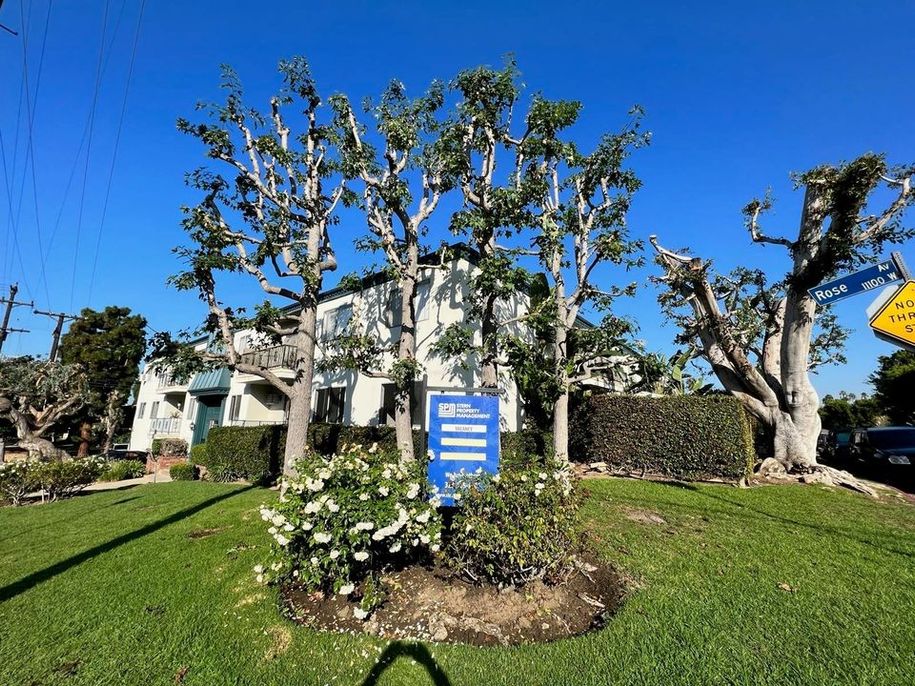 property for rent #4