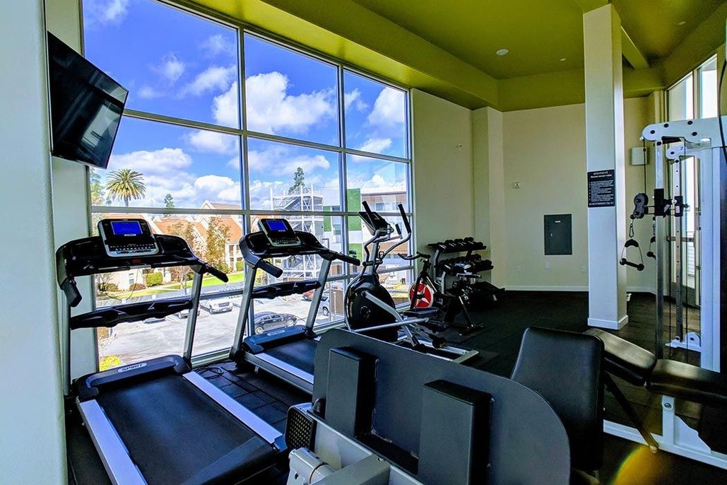 property for rent #24