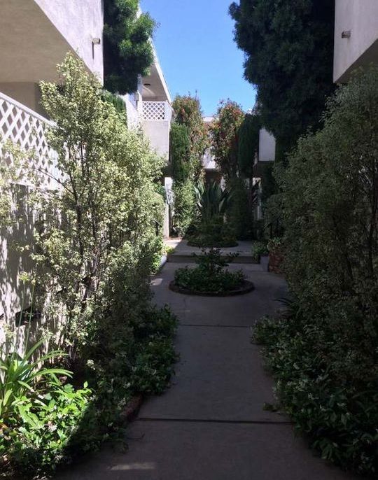 property for rent #3