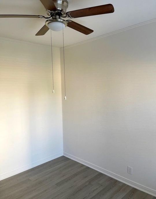 property for rent #5