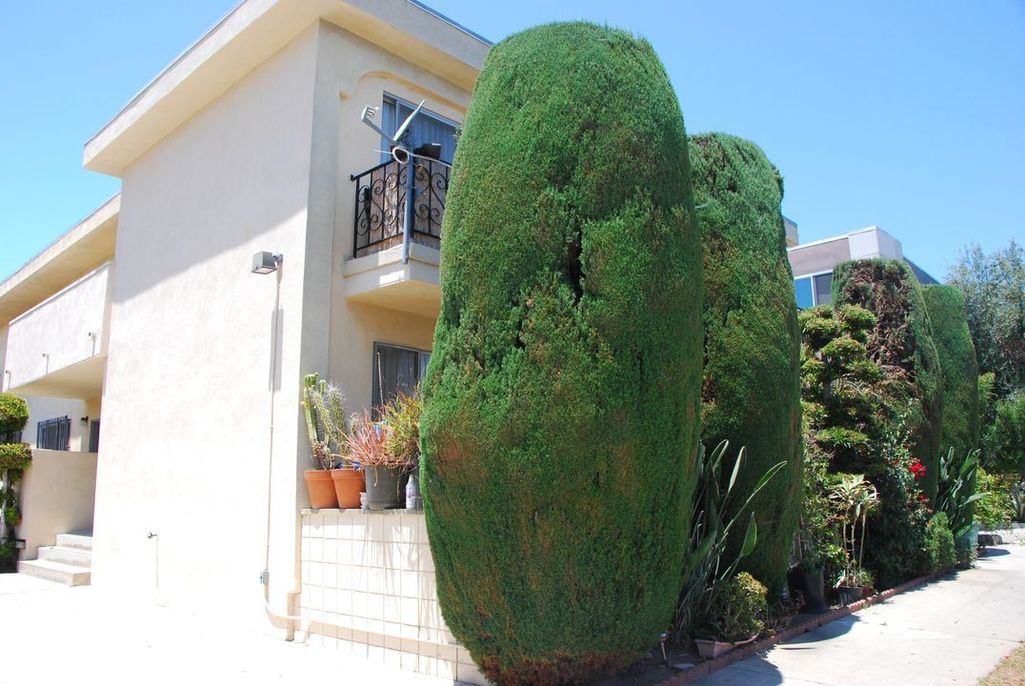 property for rent #1