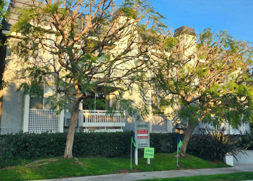 property for rent #1