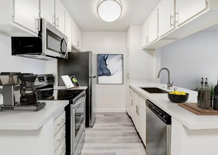 property for rent #1