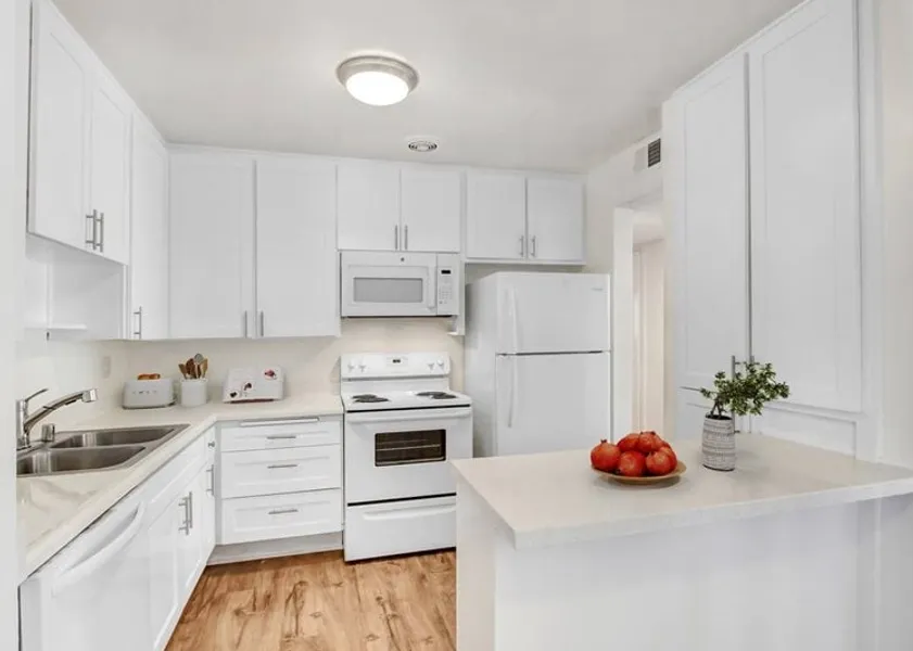 property for rent #1