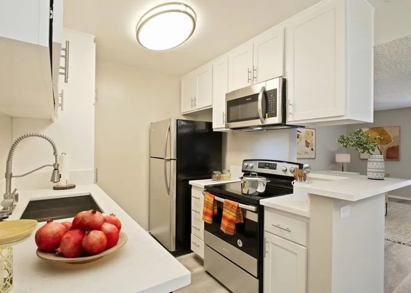 property for rent #1