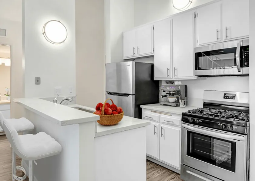 property for rent #1