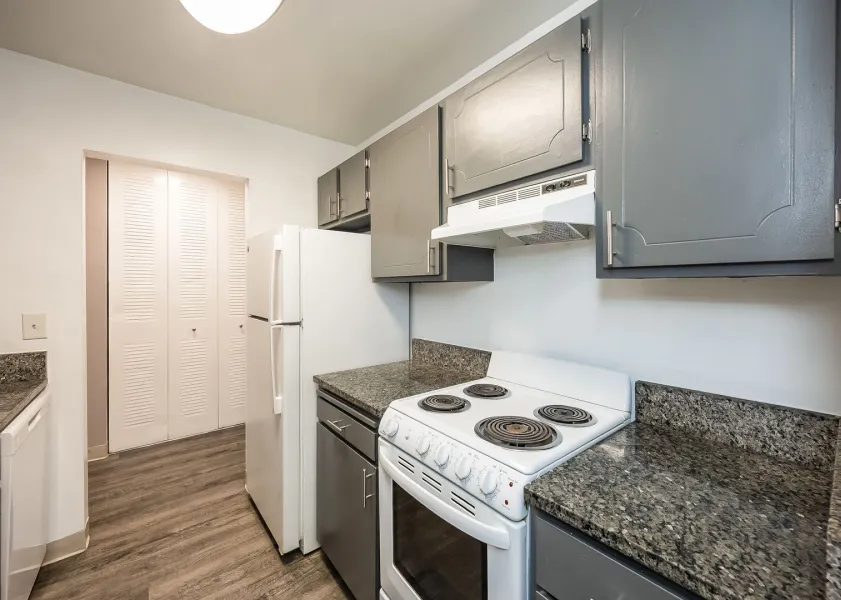 property for rent #1