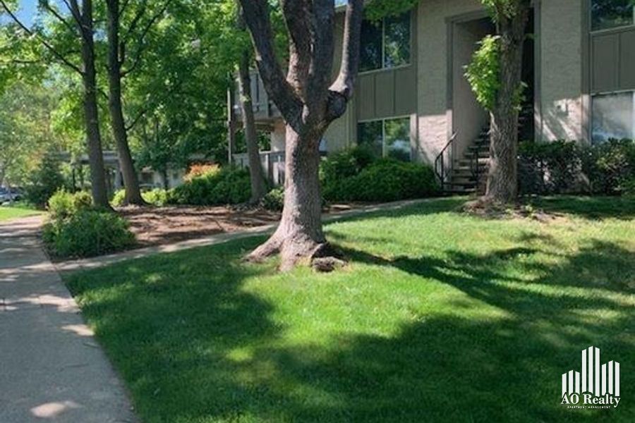 property for rent #1