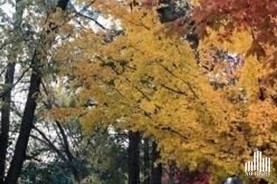 property for rent #1