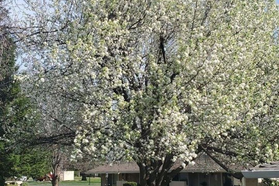 property for rent #1