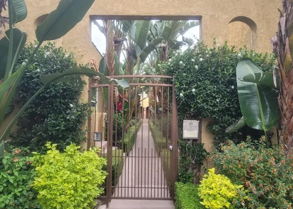 property for rent #1