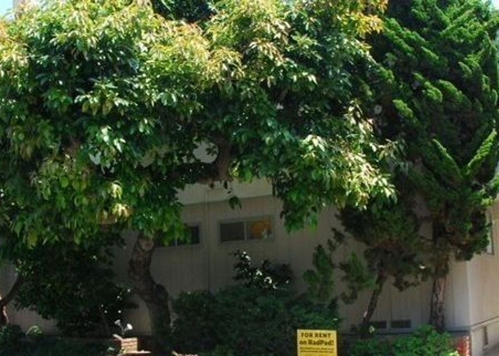 property for rent #1