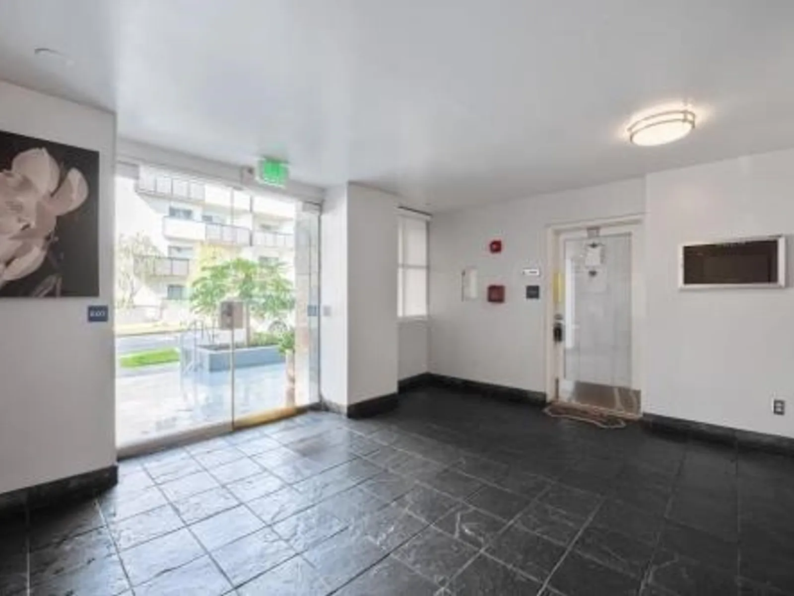 1444 N. Poinsettia Place 5