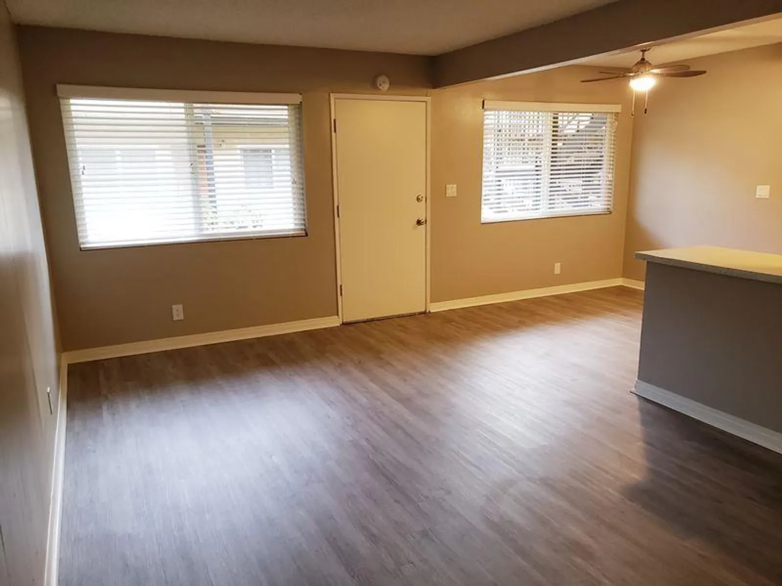 291 Avocado St. 12