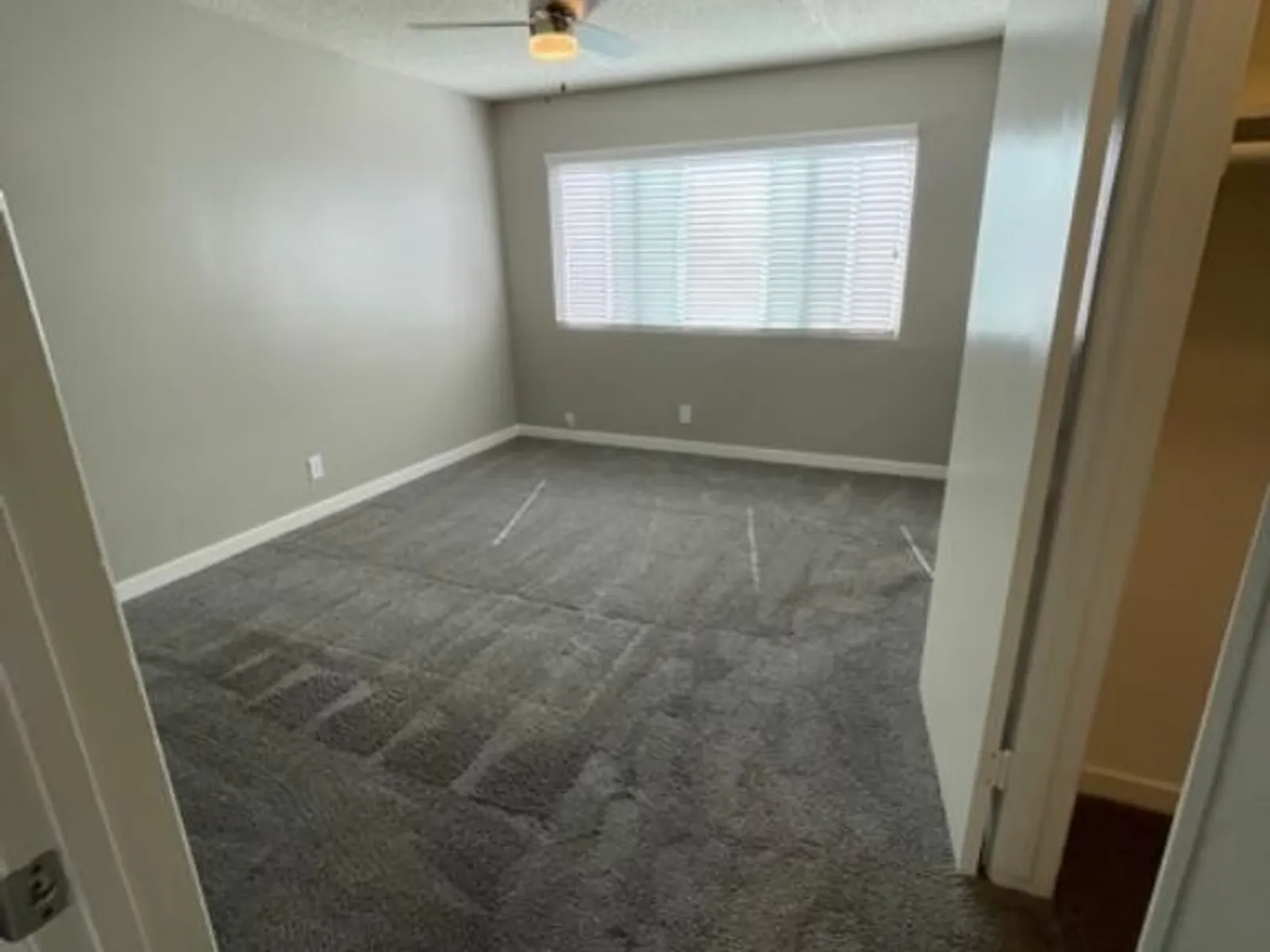 291 Avocado St. 3