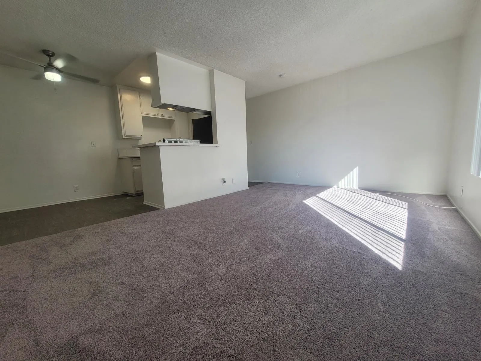 3731 Canfield Ave 2