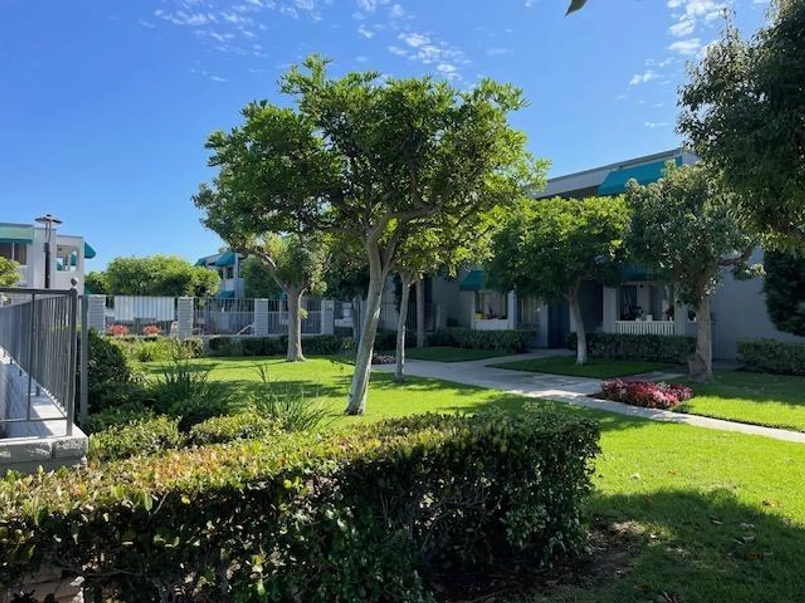 301-307 Avocado St. 3