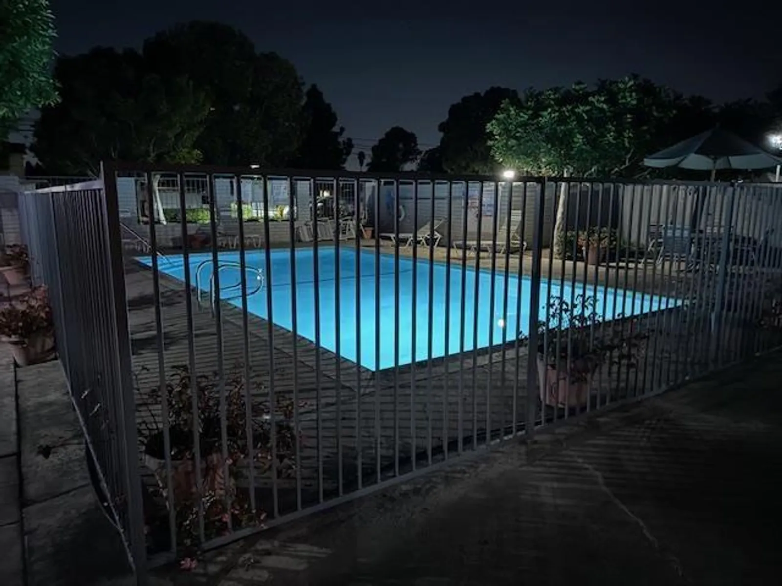 301-307 Avocado St. 5