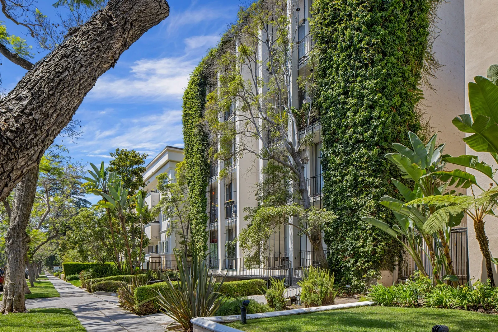 property for rent #6