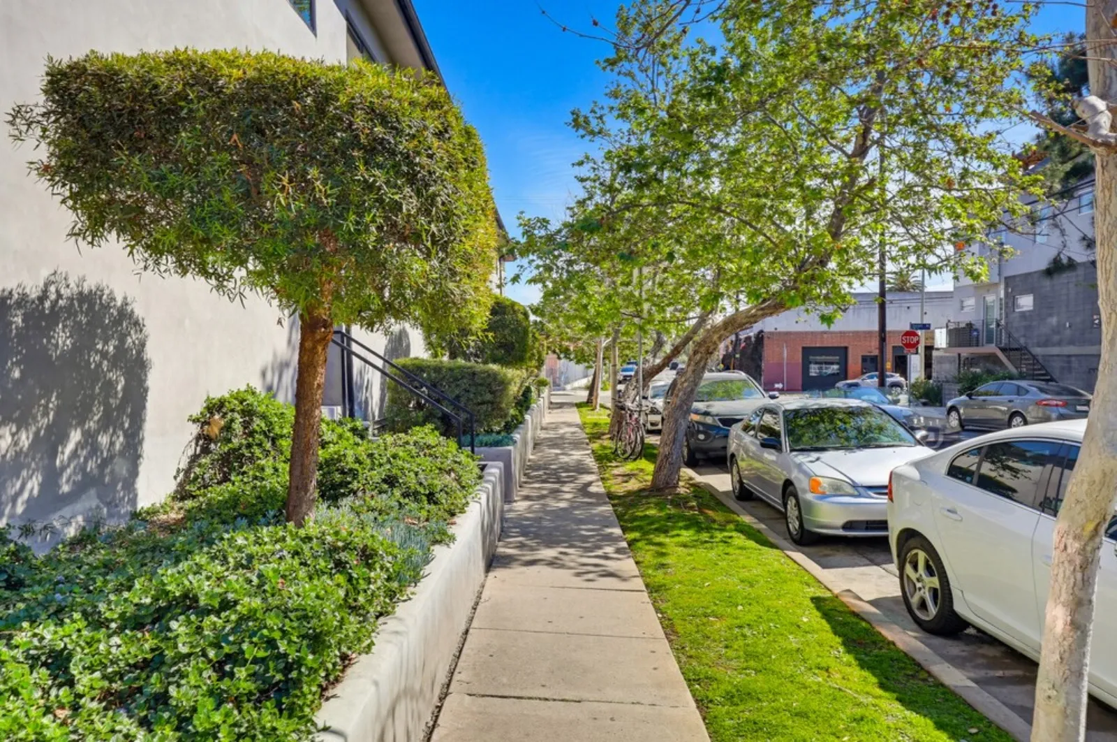 property for rent #36