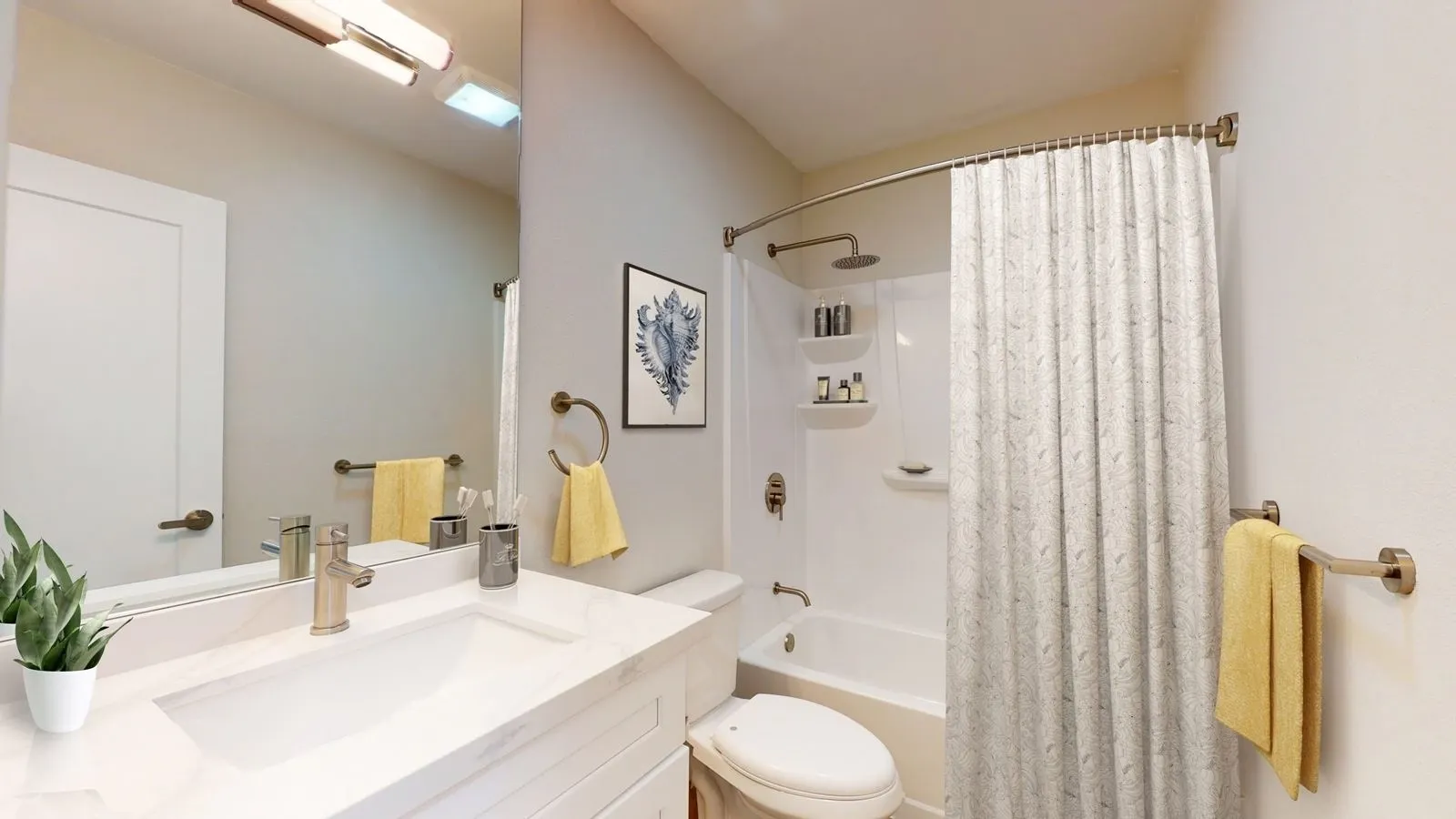 property for rent #4