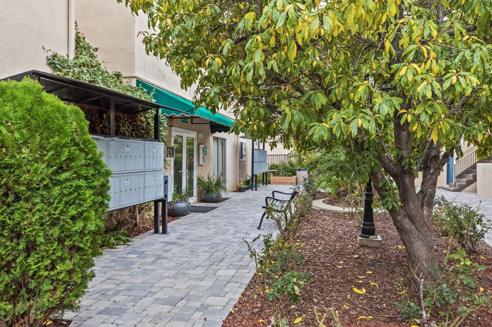 property for rent #5