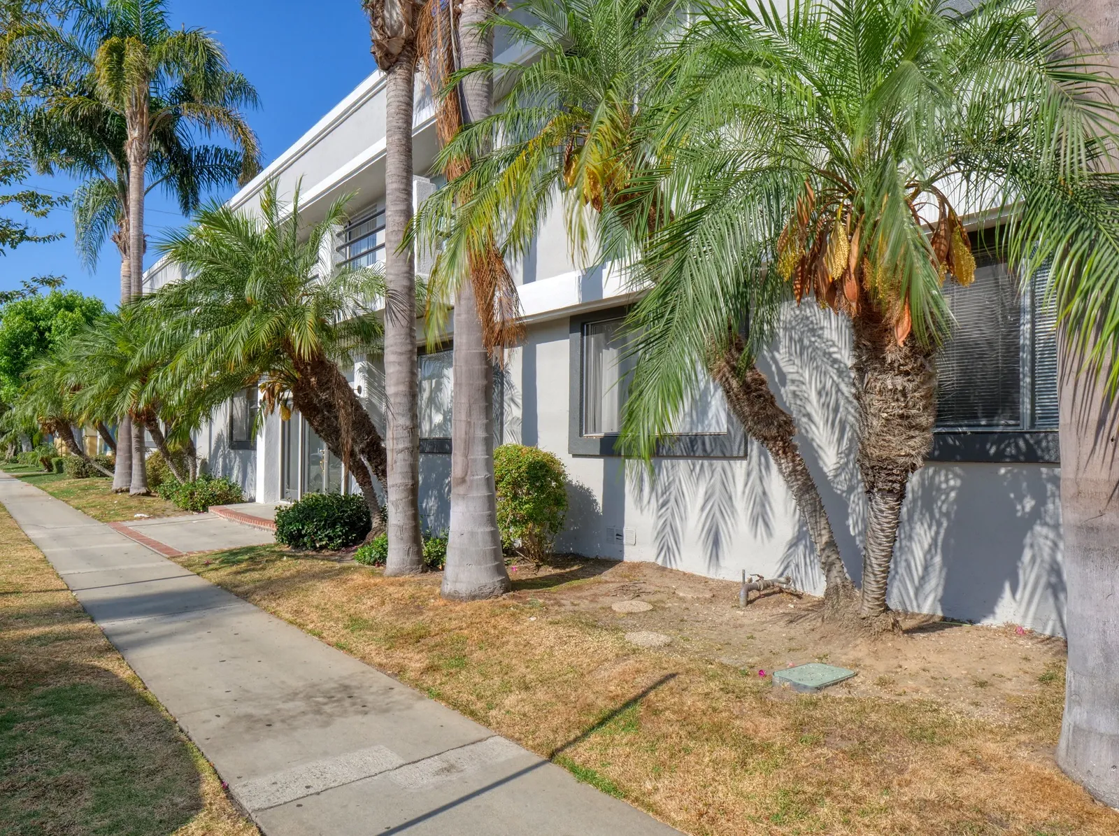 property for rent #7