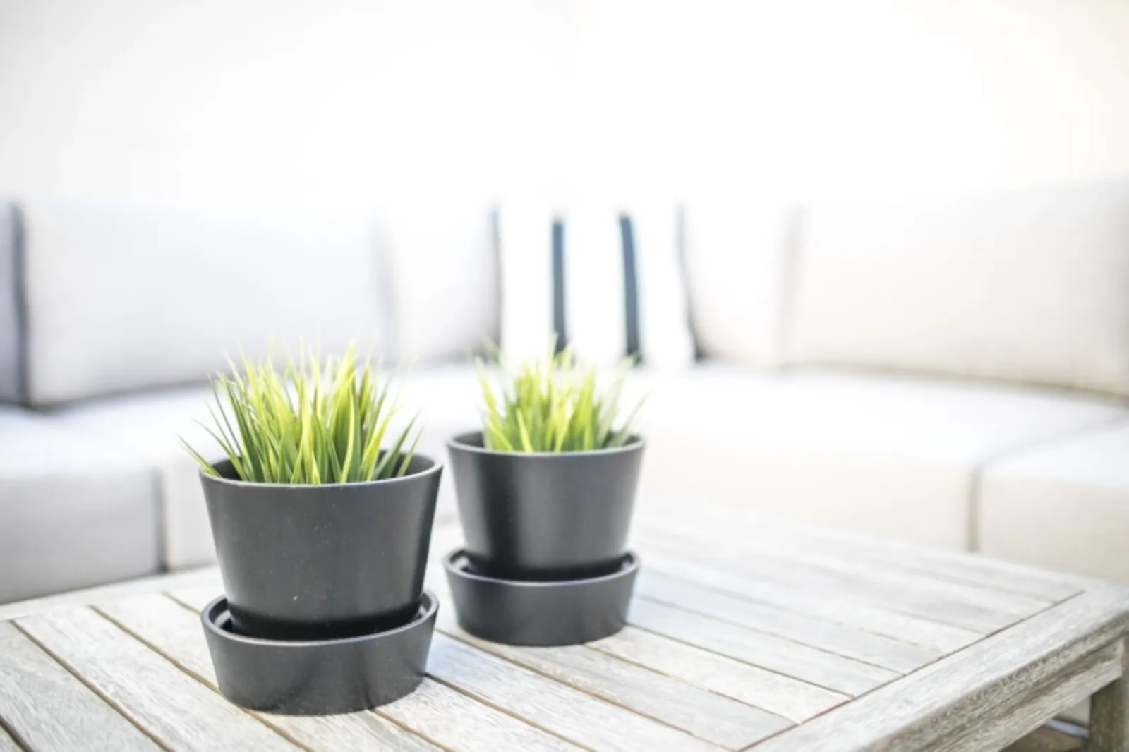 property for rent #11