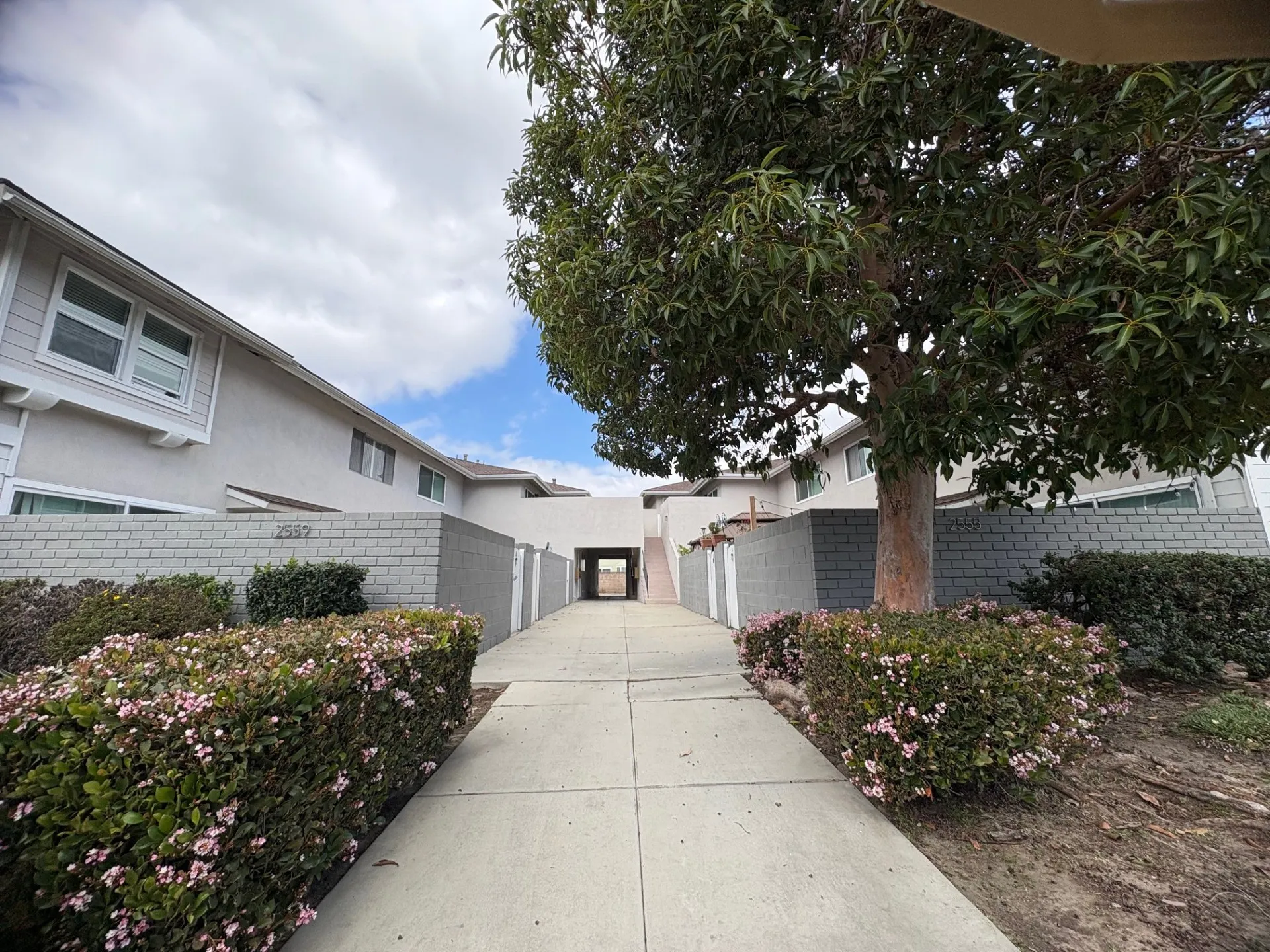 property for rent #19