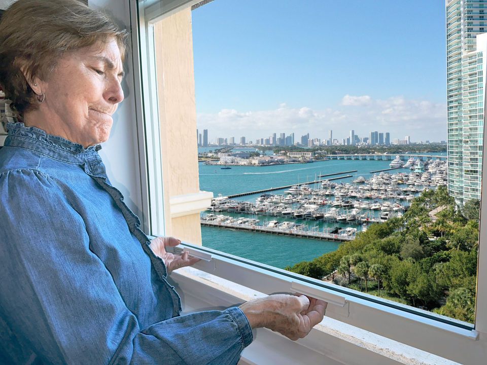 Proper Care and Maintenance of Single-Hung Windows