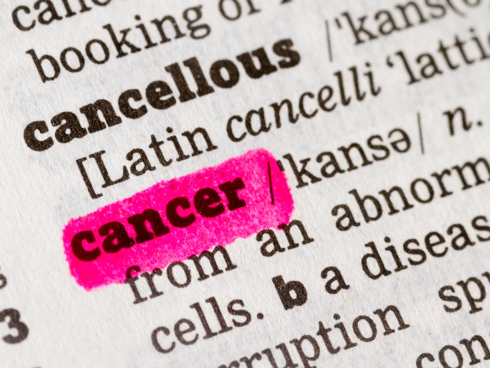 Periodontal Disease Increases the Risk of Cancer