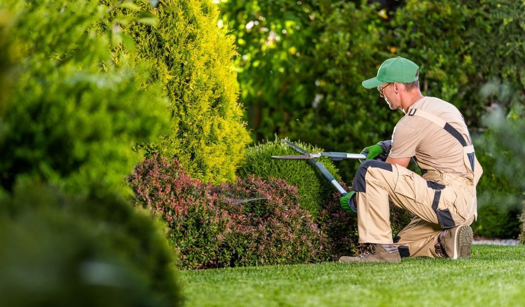 Property Maintenance for Property Owners