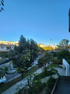 property for rent #2