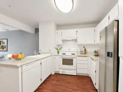 property for rent #4