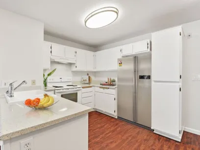 property for rent #2