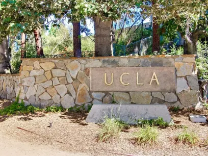 property for rent #6